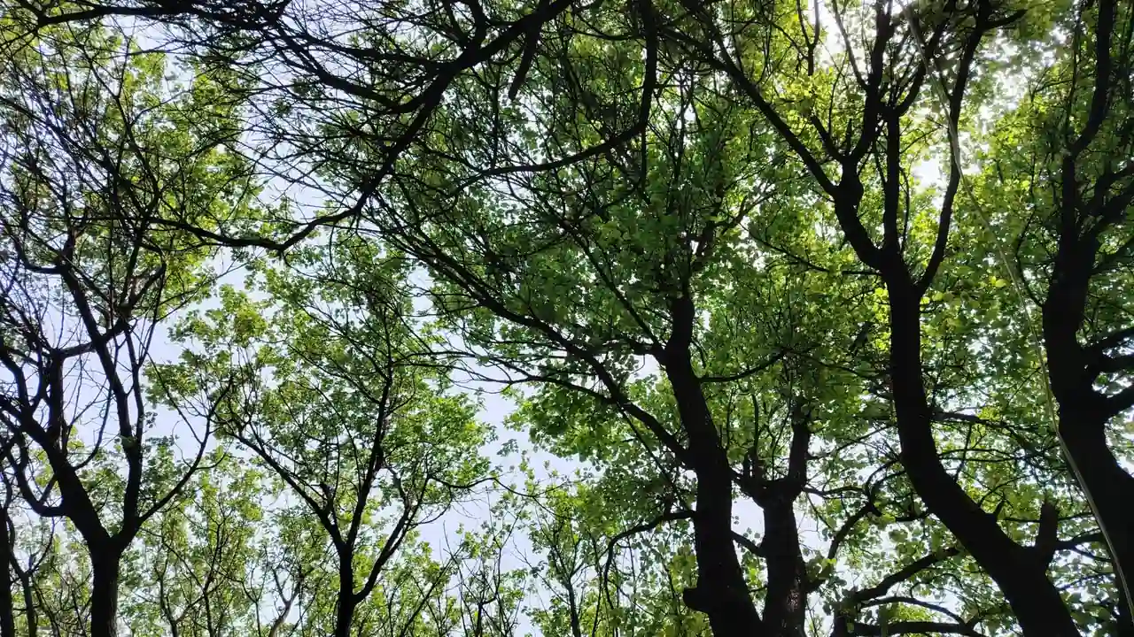 亚洲激情快播探索亚洲影视娱乐的全新体验